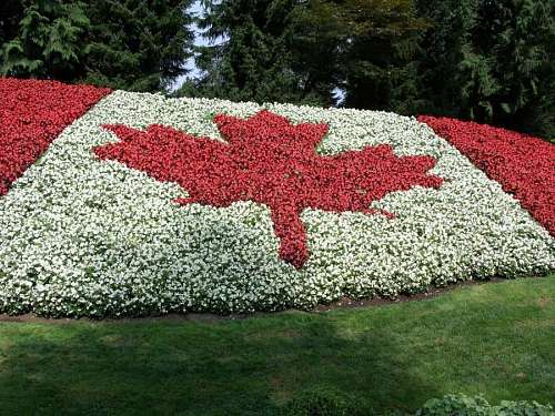 Bandeira do canadá
