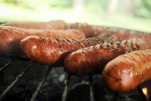 salsicha Salsichas grelhadas