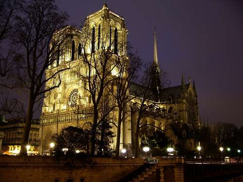 dama Notre Dame, Paris