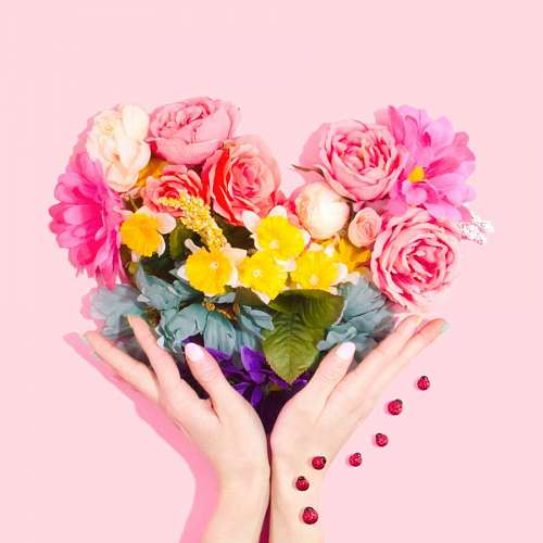 joaninha Mulher, com, buquê flores
