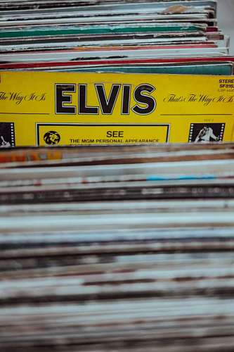 escolha Elvis
