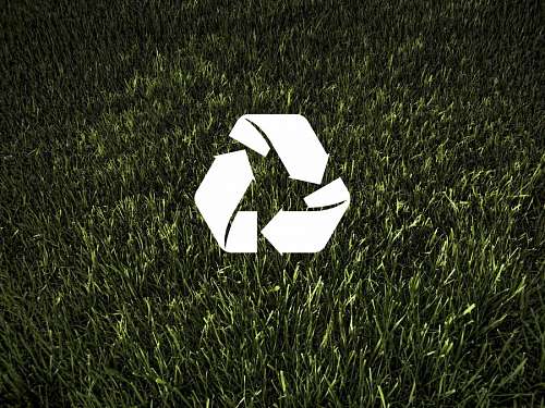 sustentabilidade Ecologia e Meio Ambiente