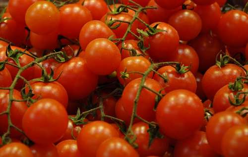 Tomates
