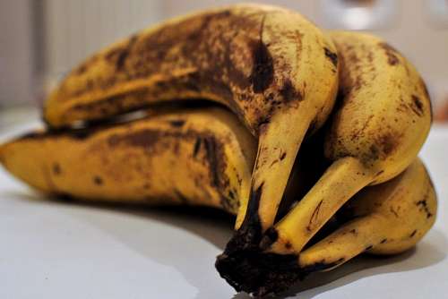 bananeira