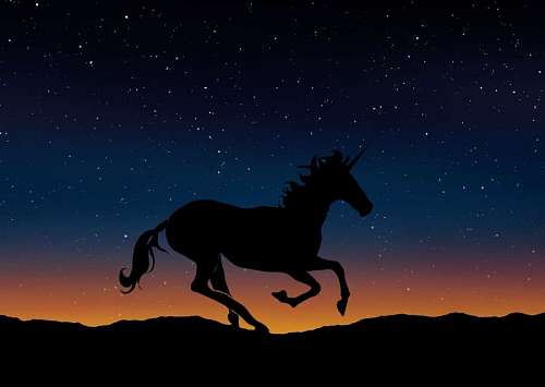 unicornios de coloracao Unicórnio animado sob as estrelas