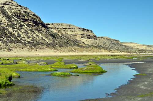 Puerto Piramides, Puerto Madryn, Chubut, Argentina