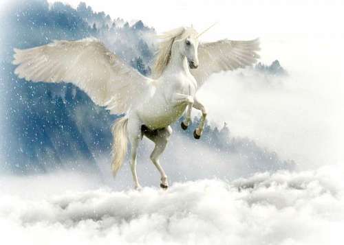unicornios de coloracao Papel de parede unicórnio