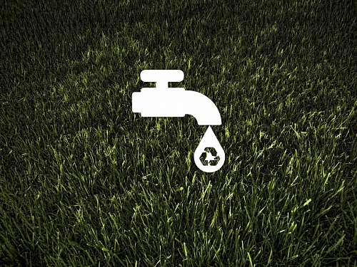 sustentabilidade Ecologia e Meio Ambiente