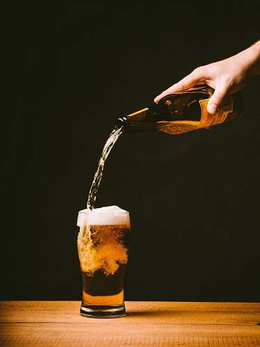 jato Cerveja