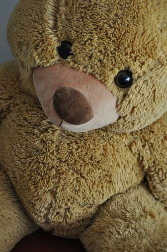 pelucia Urso de pelúcia