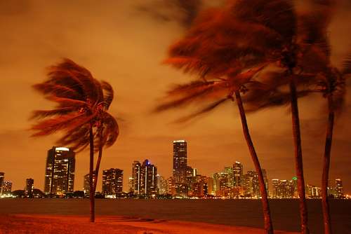 mau tempo Miami