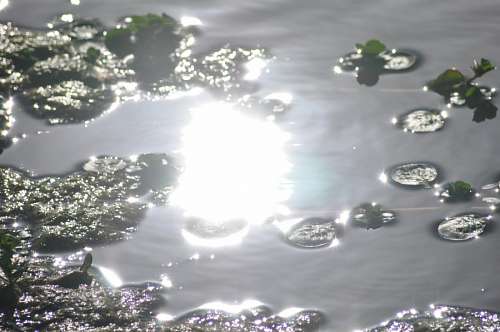 Reflexão da água