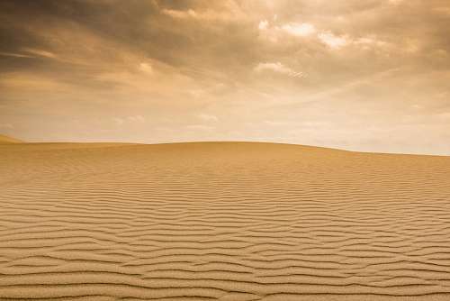 Desert