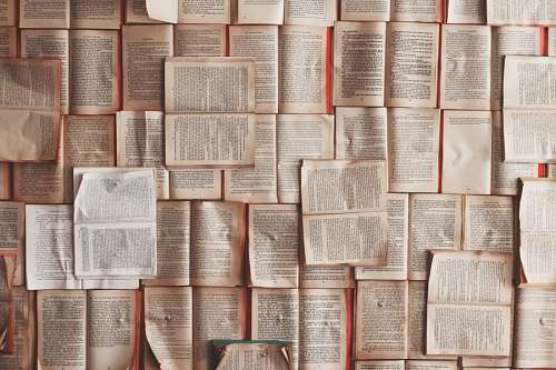 Livros