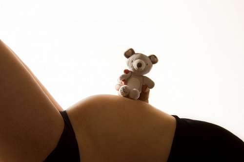 Mulher grávida, com, urso teddy