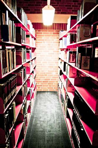 Biblioteca