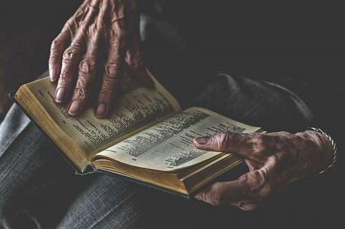 book 