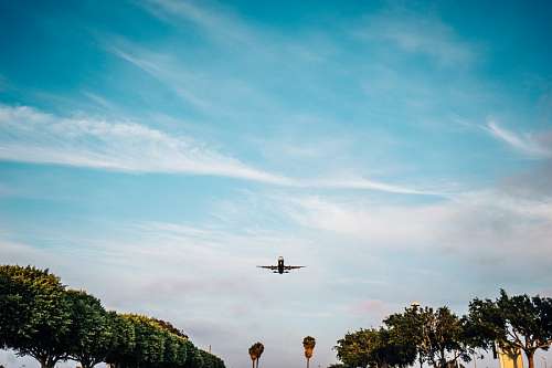 Avião