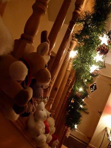 pelucia Cena natal