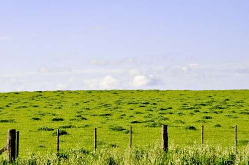 field Field