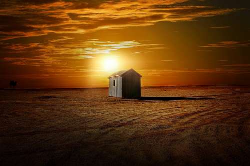 solitario 