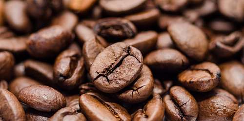 cc0 grãos de café
