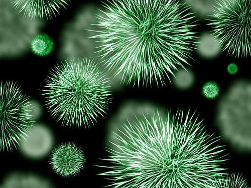 virus Bactérias
