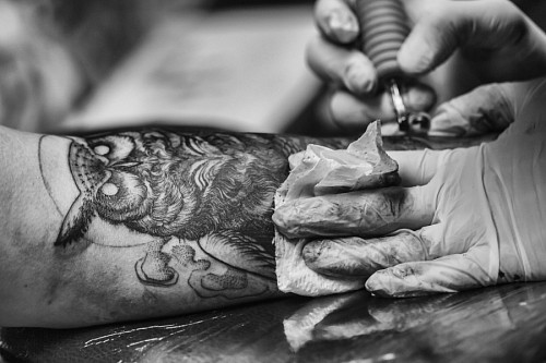 tatuador Artista tatuando uma coruja