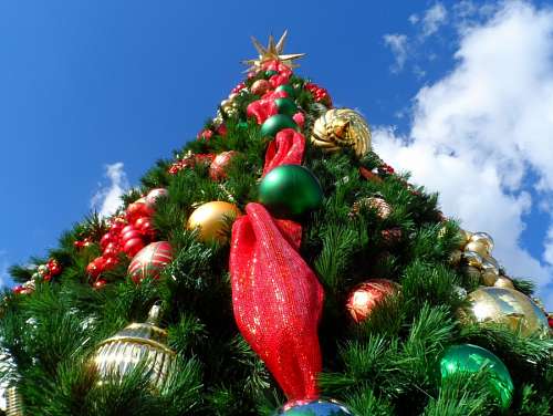 Natal