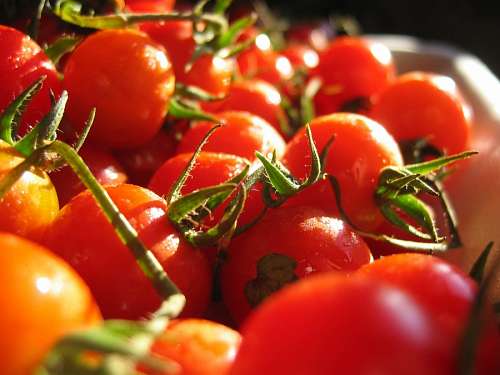 tomate, tomates, fruta, vegetal, vermelho, ingrediente