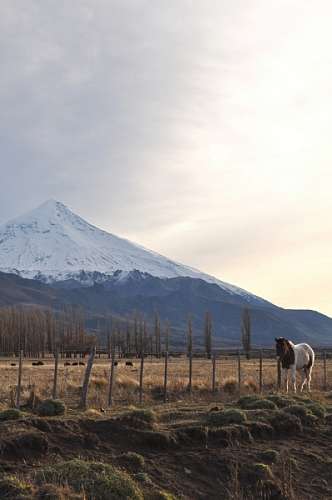 vulcao patagonia, neuquen, vulcão, lanin, neve, paisagem,