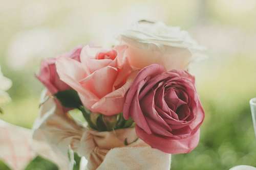 Buquê de rosas dia dos namorados
