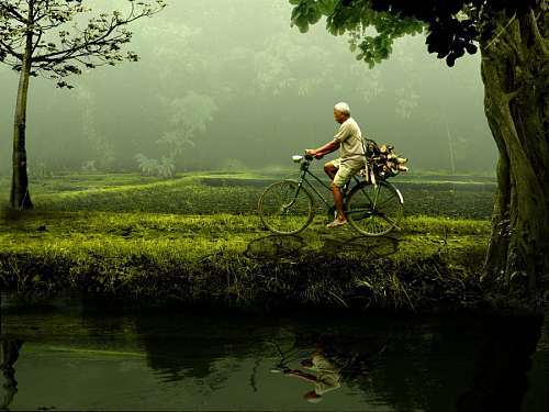 Homem, bicicleta