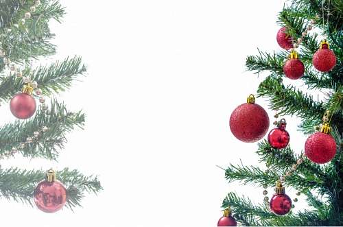 Natal