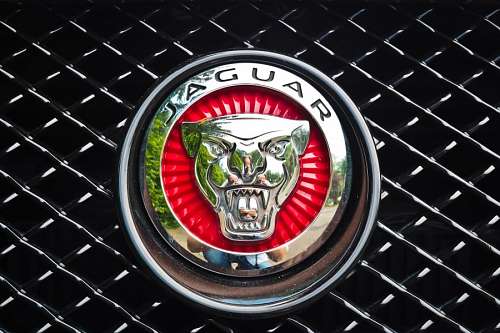 michael Jaguar