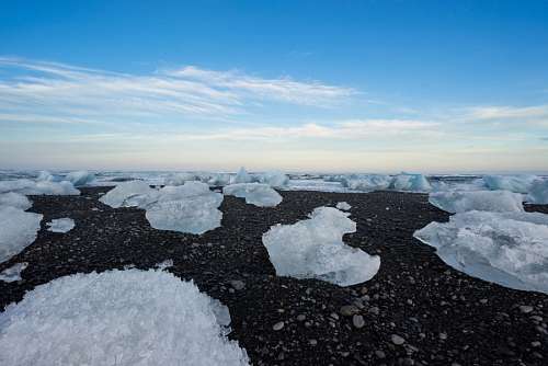 antartica 