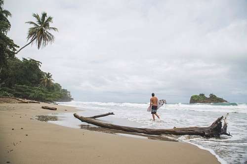Surf