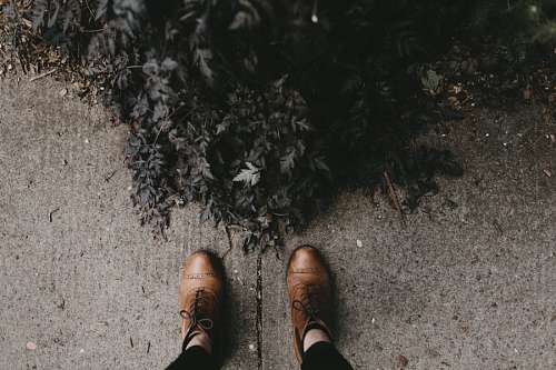 nice Sapatos