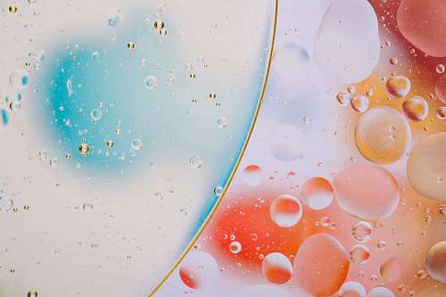 microscopio Detalhe, de, celas, sob, a, microscópio