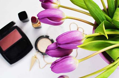 lilas Flor lilás e cosméticos