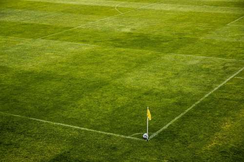 tribunal Bola de futebol
