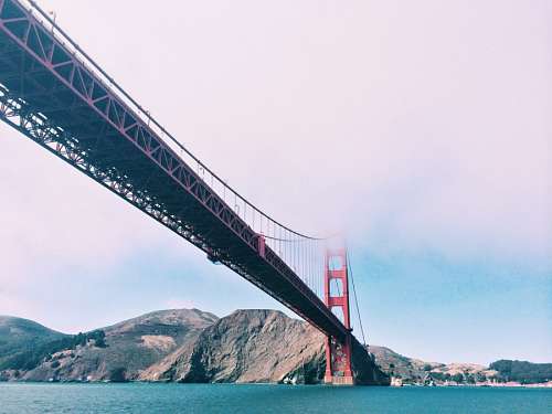 Ponte