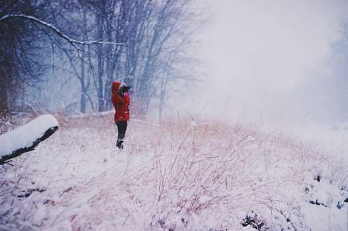 Inverno