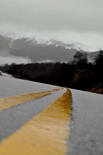 mara patagonica patagonia