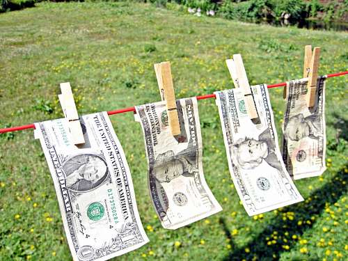 dolares dinheiro, dólar, lavar, seco, seco, molhado, economia, mo