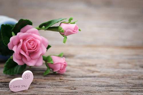 Rosas cerâmicas