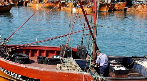 pescador uma pessoa, homem, mar del plata, barco, pesca