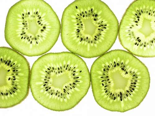 kiwi kiwi