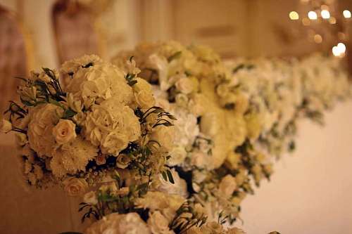 blanco Decoración de flores blancas