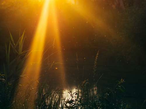 concept Raio de Sol